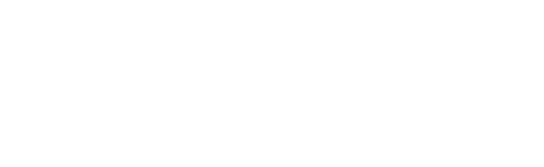 fidelizi